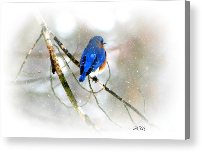 Bird Acrylic Print featuring the photograph In Snow by Barbara S Nickerson
