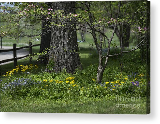 Landscape Acrylic Print featuring the photograph In The Garden by Andrea Silies