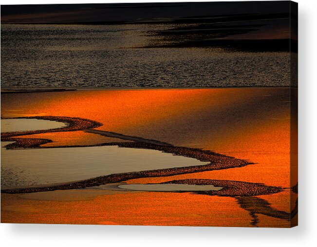 Winter Abstract Acrylic Print featuring the photograph In The Spotlight by Irwin Barrett