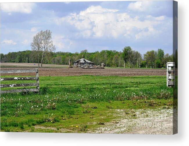 Farm Acrylic Print featuring the photograph Indiana Farm by John Black