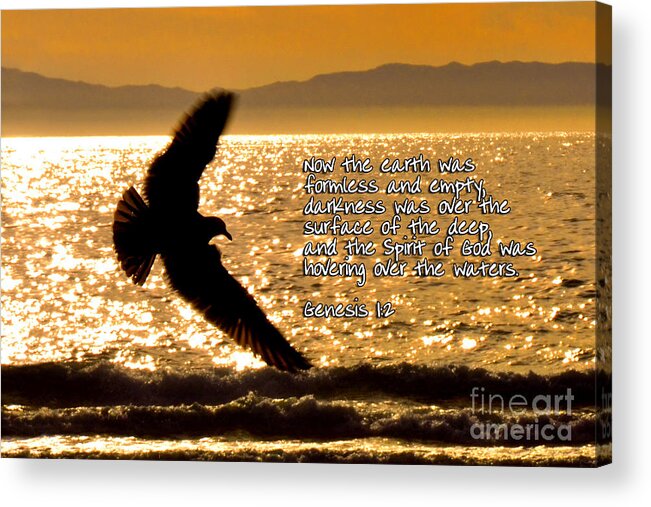 Bird Acrylic Print featuring the photograph Inspirational - On The Move by Mark Madere