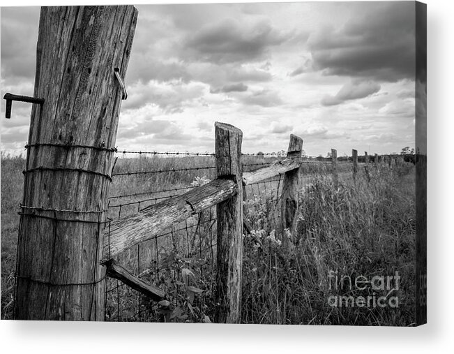 Country Acrylic Print featuring the photograph Into the Country by Becqi Sherman