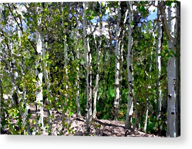 Photo Acrylic Print featuring the photograph Into the Forrest by Mary Gaines