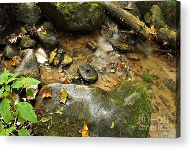 Stream Acrylic Print featuring the photograph Into The Stream 11 by Jimmy Ostgard