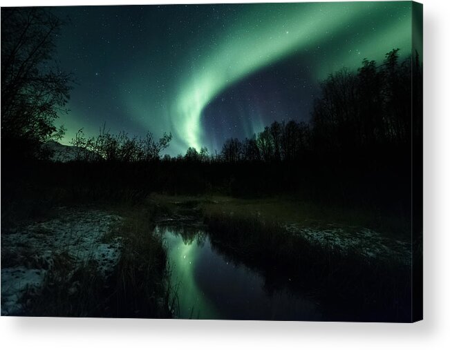 Night Acrylic Print featuring the photograph Into The Woods by Tor-Ivar Naess