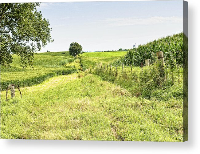 Corn Acrylic Print featuring the photograph Iowa Corn Field by Scott Hansen