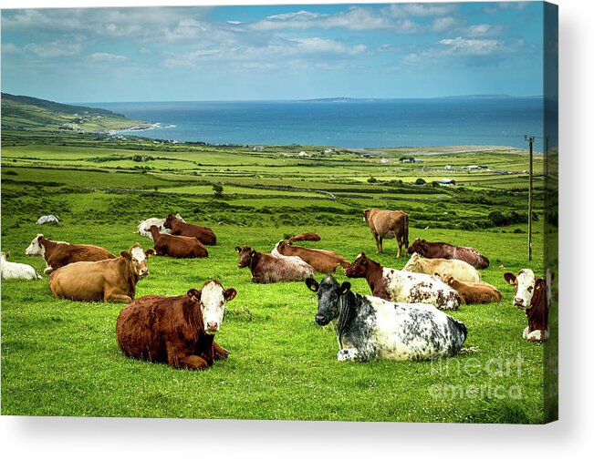 Ireland Acrylic Print featuring the photograph Ireland - Westcoast by Juergen Klust