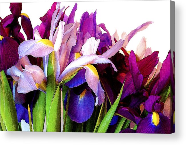 Iris Acrylic Print featuring the photograph Iris Bouquet by Janis Senungetuk