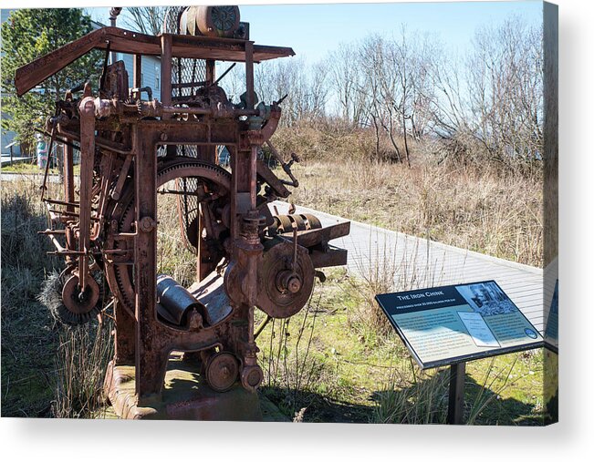 Iron Chink Acrylic Print featuring the photograph Iron Chink by Tom Cochran