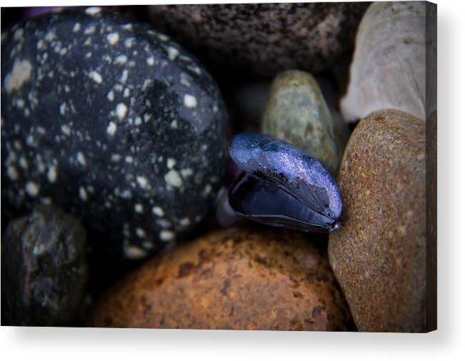 Stones Acrylic Print featuring the photograph Isakro Four by Julius Reque