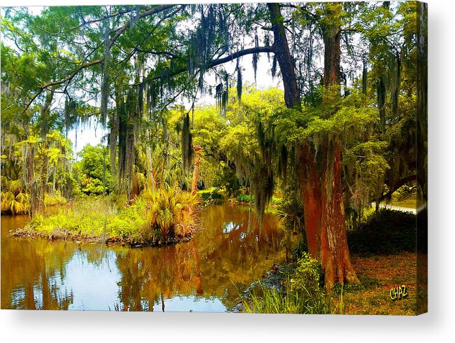 Islands Acrylic Print featuring the painting Island In The Park by CHAZ Daugherty