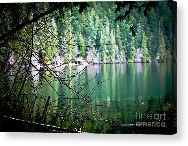 Vancouver Island Acrylic Print featuring the photograph Lake Cathedral Grove by Donna L Munro