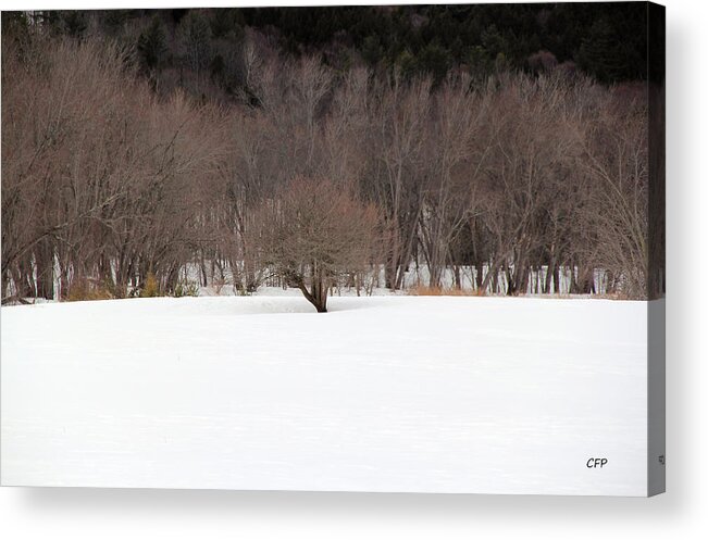 Nature Acrylic Print featuring the photograph Isolated by Becca Wilcox