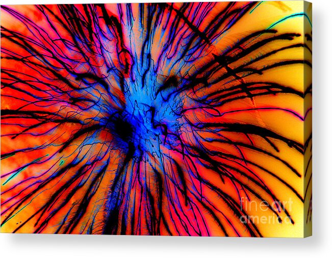 Firework Acrylic Print featuring the photograph It Came Out Of The Blue by Leah McPhail
