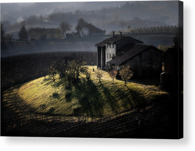 Vineyards Acrylic Print featuring the photograph Italian hill 2 by Livio Ferrari