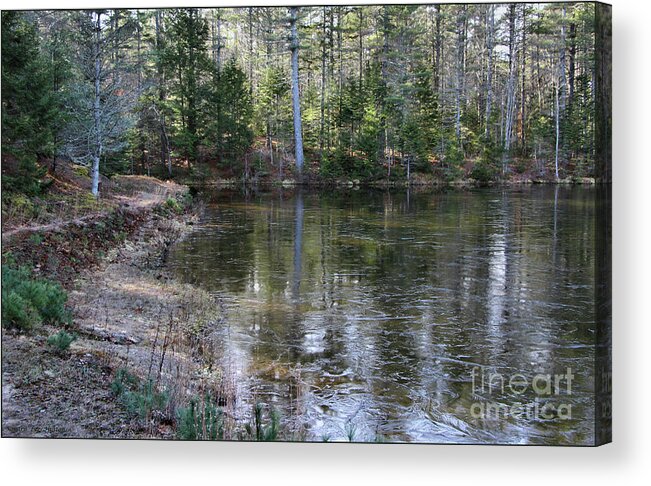 Landscape Acrylic Print featuring the photograph Jack Frost at Beaver Park, Maine by Sandra Huston