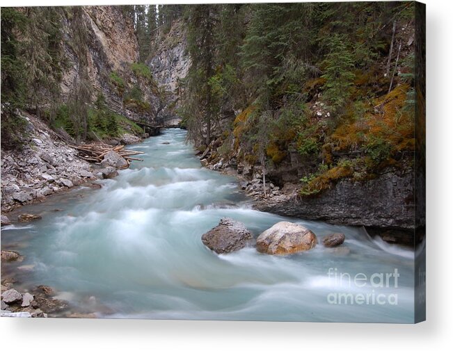 Johnston Acrylic Print featuring the photograph Johnston Canyon in Banff National Park by RicardMN Photography