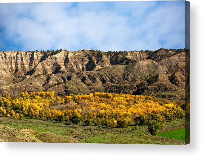 Autumn Acrylic Print featuring the photograph Judith River Autumn by Todd Klassy