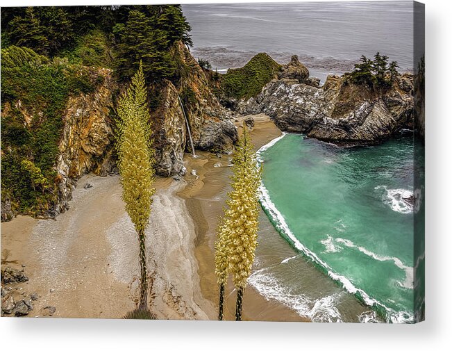Landscape Acrylic Print featuring the photograph Julia Pfeiffer Burns State Park by Maria Coulson