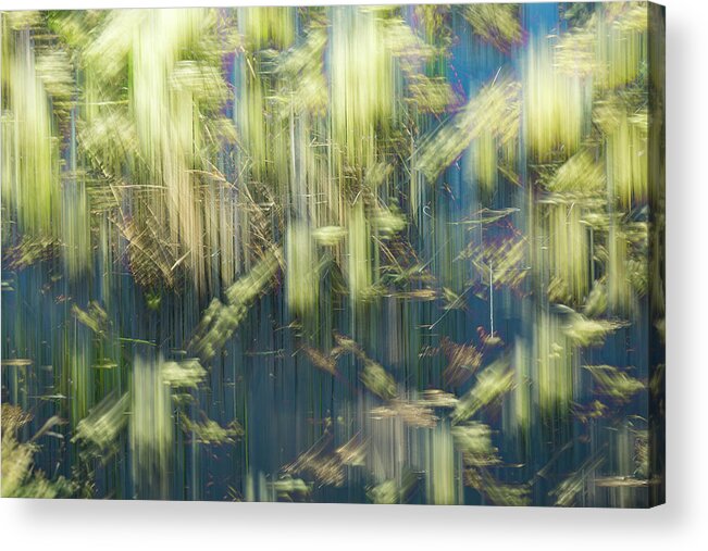 Intentional Camera Movement Acrylic Print featuring the photograph Jump And Flash by Deborah Hughes