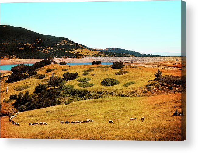 Reservoir Acrylic Print featuring the photograph ...just Life by Milena Ilieva