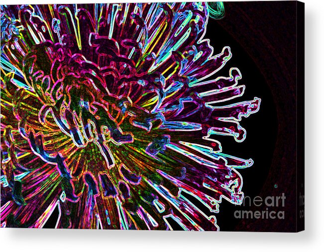 Flowers In The Kitchen Acrylic Print featuring the photograph Kaleidoscopic by Julie Lueders 