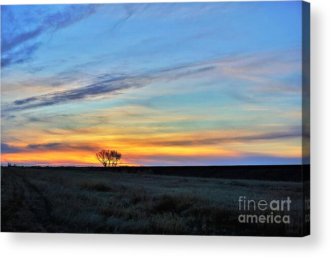 Tree Acrylic Print featuring the photograph Kansas sunrise1 by Merle Grenz