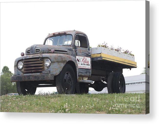 Bee Truck Acrylic Print featuring the photograph Kelley bees truck by Dwight Cook
