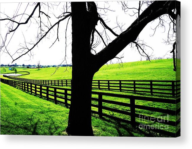 Kentucky Acrylic Print featuring the photograph Kentucky Horse Country by Merle Grenz