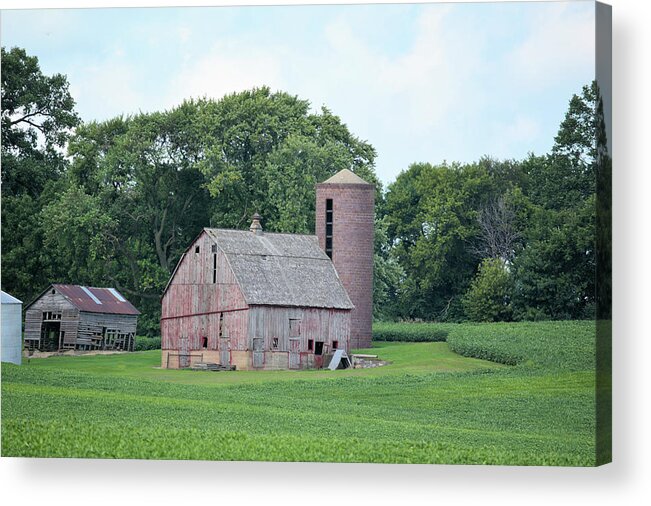Green Acrylic Print featuring the photograph Kossuth Farm by Bonfire Photography