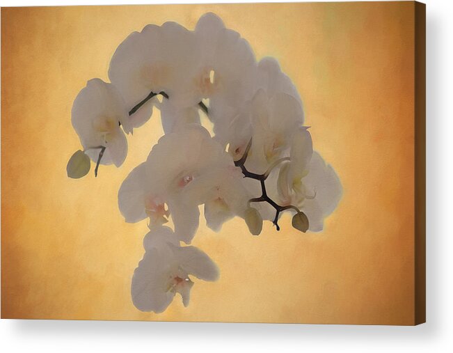Orchids Acrylic Print featuring the photograph La Dolce Vita by Kate Hannon