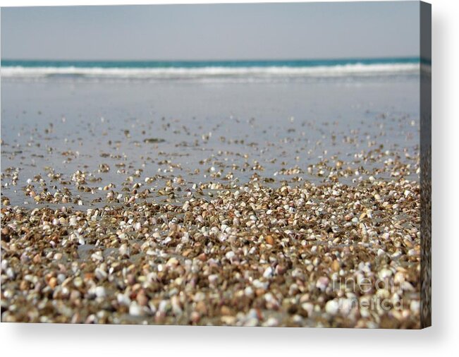 Sea Acrylic Print featuring the photograph La Mer by Suzanne Oesterling