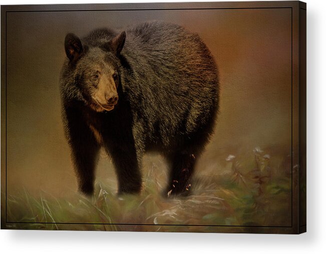 Tl Wilson Photography Acrylic Print featuring the photograph Black Bear in the Fall by Teresa Wilson