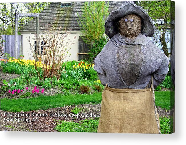 Stone Crop Gardens Acrylic Print featuring the photograph Lady of the Gardens Stone Crop Gardens NY by DazzleMe Photography