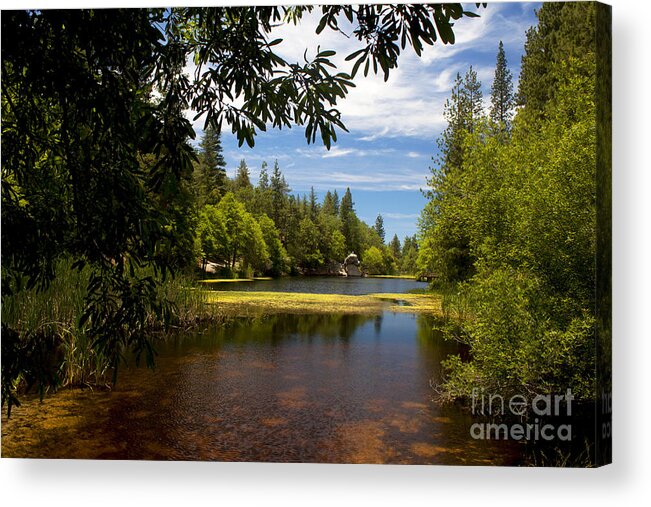 Lake Fulmor Acrylic Print featuring the photograph Lake Fulmor View by Ivete Basso Photography