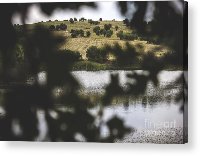 Lake Acrylic Print featuring the photograph Lake by Hlias Vogiatzis