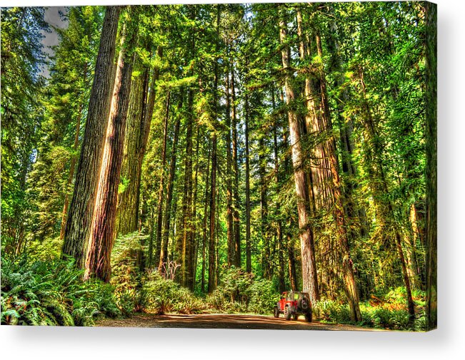 Photograph Acrylic Print featuring the photograph Land of the Giants by Richard Gehlbach