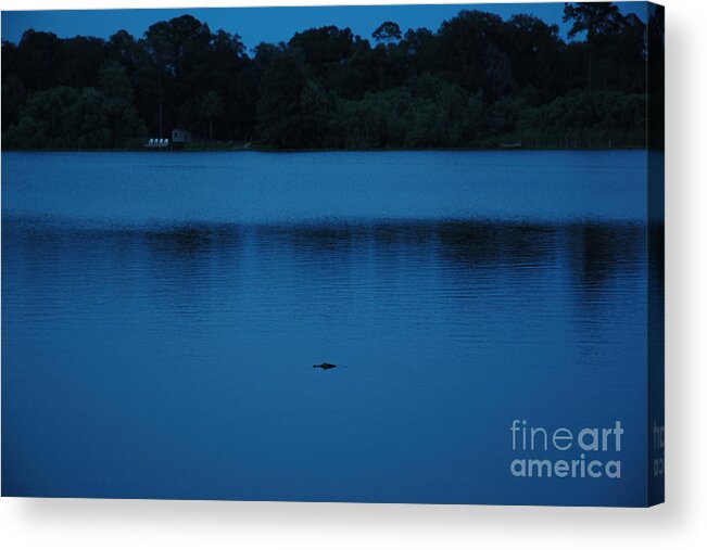 Florida Acrylic Print featuring the photograph Last Light by Kathi Shotwell
