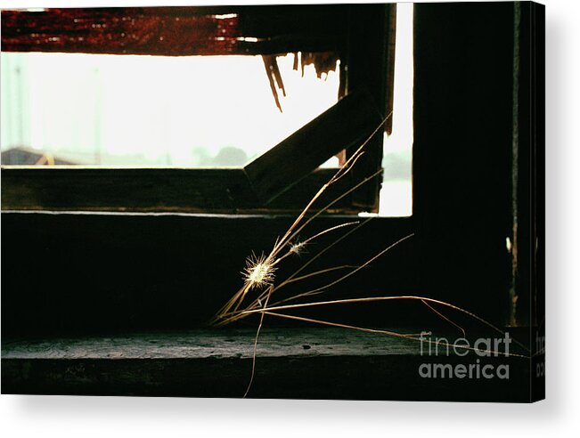 Death Acrylic Print featuring the photograph Last Man Standing by Dean Harte