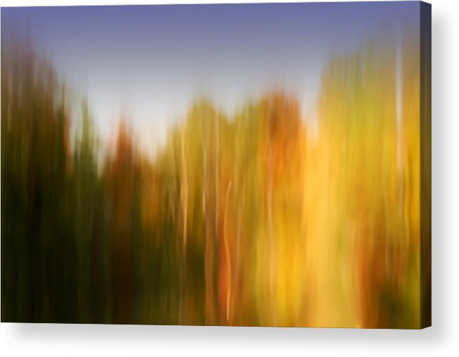 Abstract Acrylic Print featuring the photograph Last November at Duke by Margaret Denny