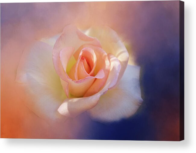 Flower Acrylic Print featuring the digital art Last Rose of Summer? by Terry Davis