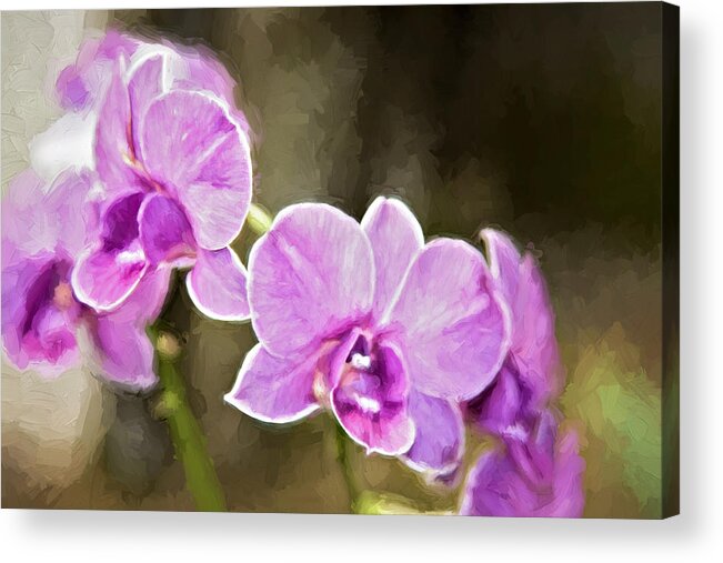 Beautiful Acrylic Print featuring the photograph Lavendar Orchids by Lana Trussell