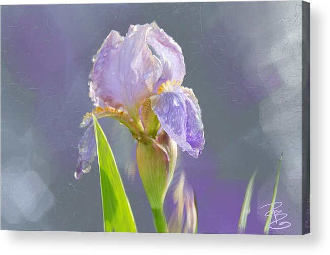 Beautiful Acrylic Print featuring the digital art Lavender iris in the morning sun by Debra Baldwin