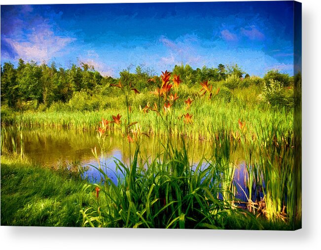Landscape Acrylic Print featuring the photograph Lazy Summer by Tricia Marchlik