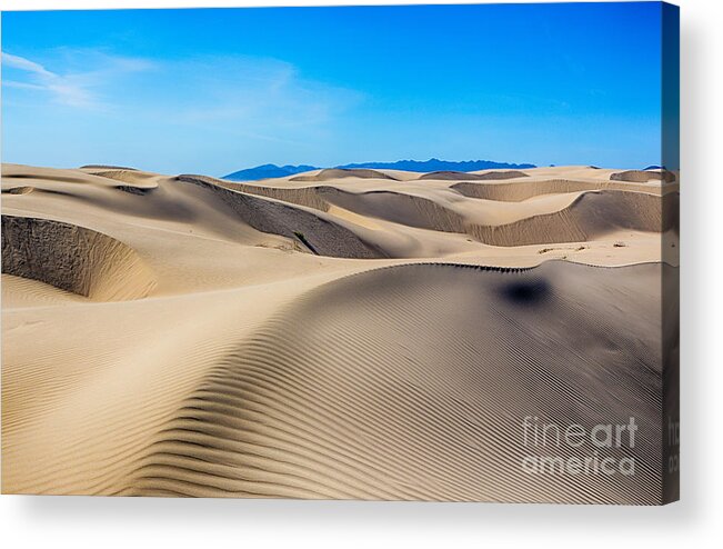 Oceano Acrylic Print featuring the photograph Leading Dune Lines by Mimi Ditchie