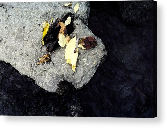 Rock Acrylic Print featuring the photograph Leaves on the Rocks by Lyle Crump