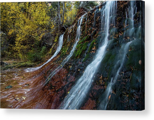Waterfall Acrylic Print featuring the photograph Left Fork Waterfall by Wesley Aston