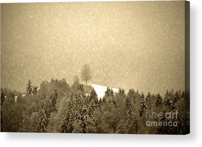 Let It Snow Acrylic Print featuring the photograph Let it snow - Winter in switzerland by Susanne Van Hulst