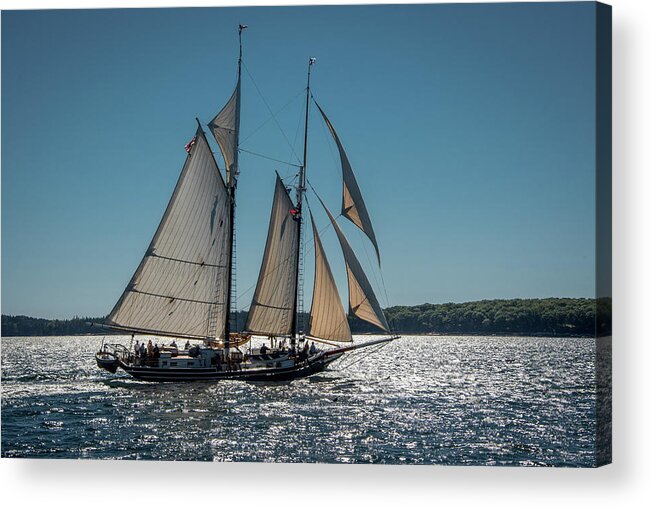 Schooner Acrylic Print featuring the photograph Lewis R. French by Fred LeBlanc