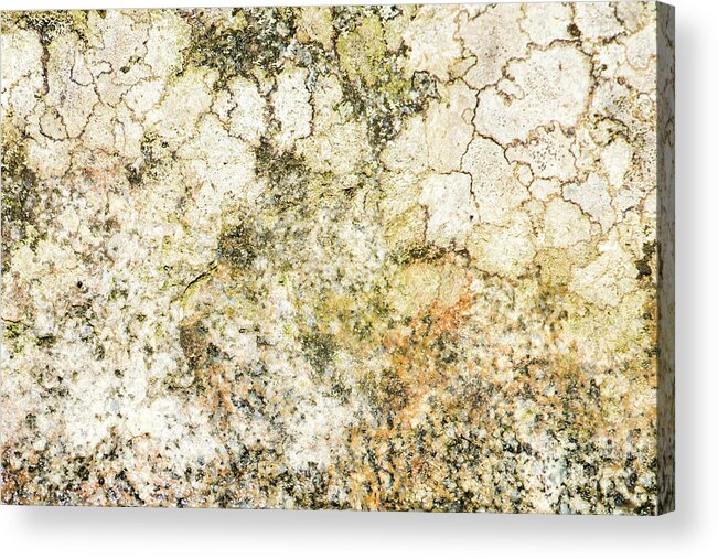Background Acrylic Print featuring the photograph Lichen on a stone, background by Torbjorn Swenelius